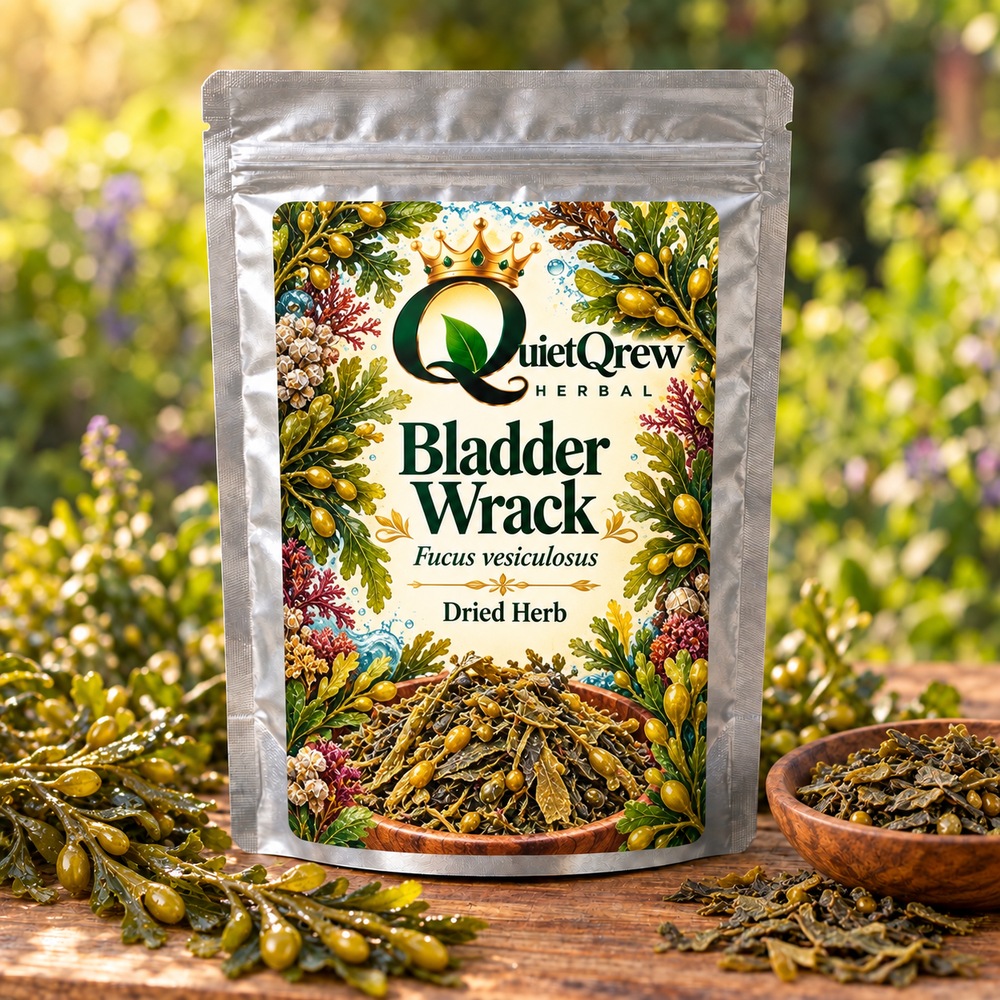 Bladder Wrack — Fucus vesiculosus — QuietQrew Herbal label