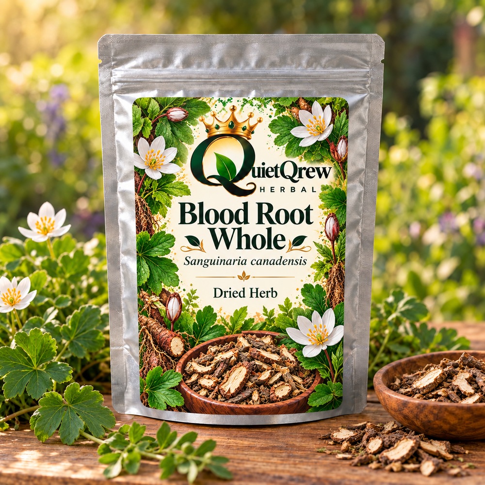 Blood Root Whole — Sanguinaria canadensis — QuietQrew Herbal label