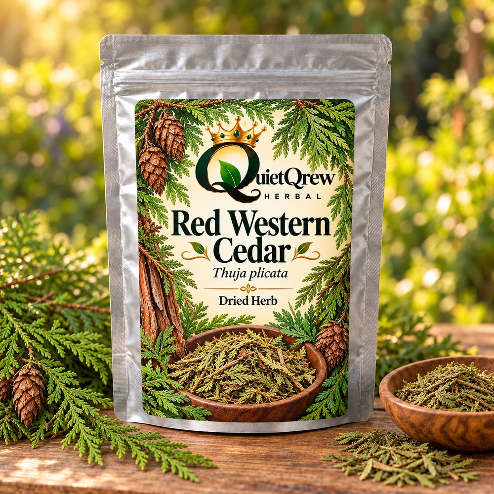 Red Western Cedar — Thuja plicata — QuietQrew Herbal label