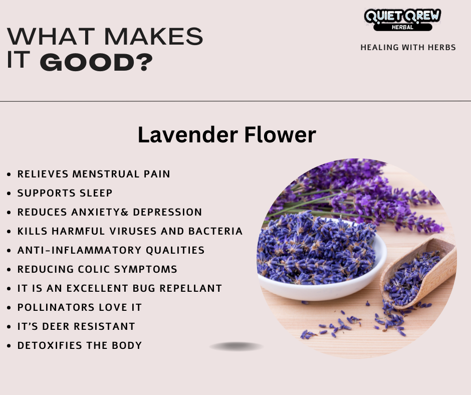 Lavender Flower benefits