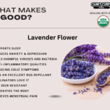 Best herb store online usa